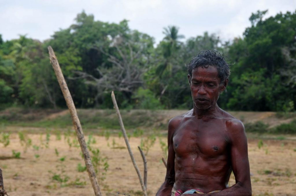 Farmer and cattle herder Rajakaruna Amaradasa, 55, stands on farmland abandoned to drought in Adigama, a village 170 km northwest of Colombo, Sri Lanka, Aug. 10, 2017. Thomson Reuters Foundation/Amantha Perera